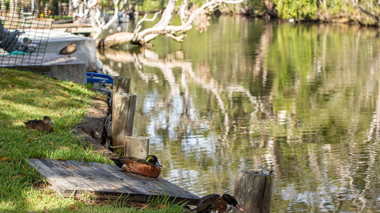 Photo of Outdoor in Charlotte Bay