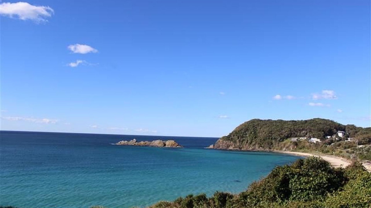 Photo of Others in Seal Rocks
