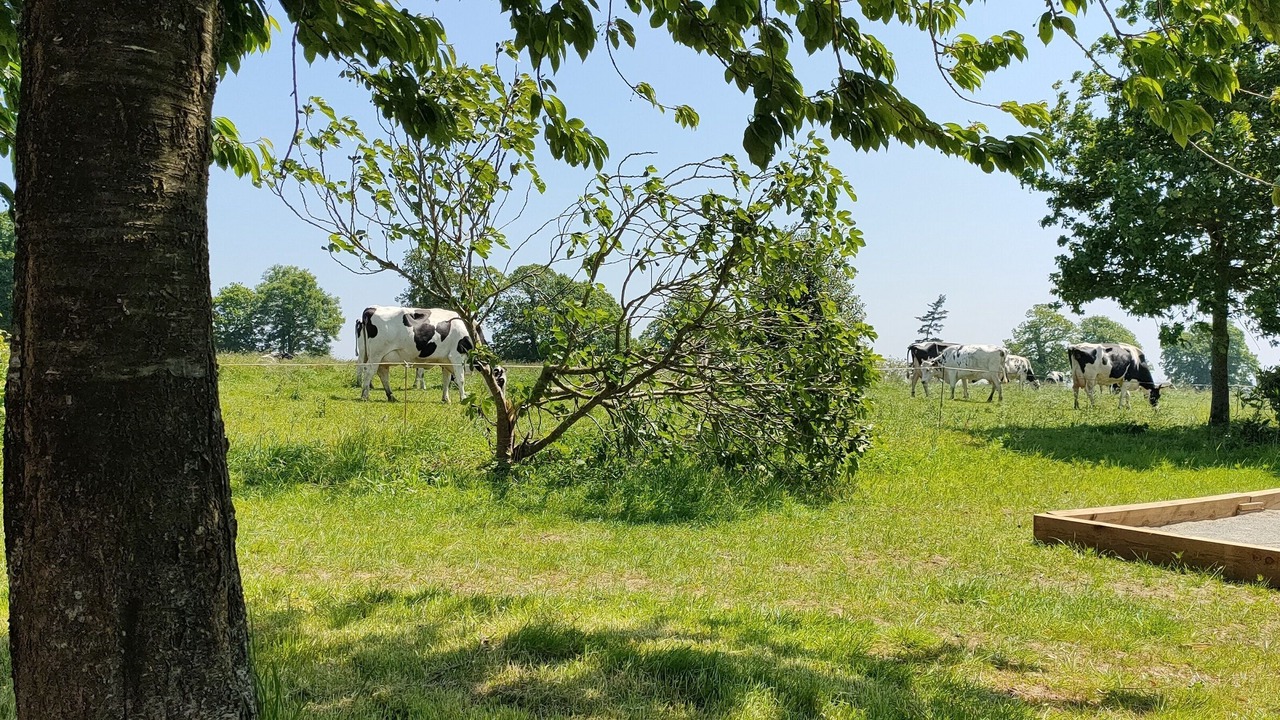 Photo of Others in Isigny-le-Buat