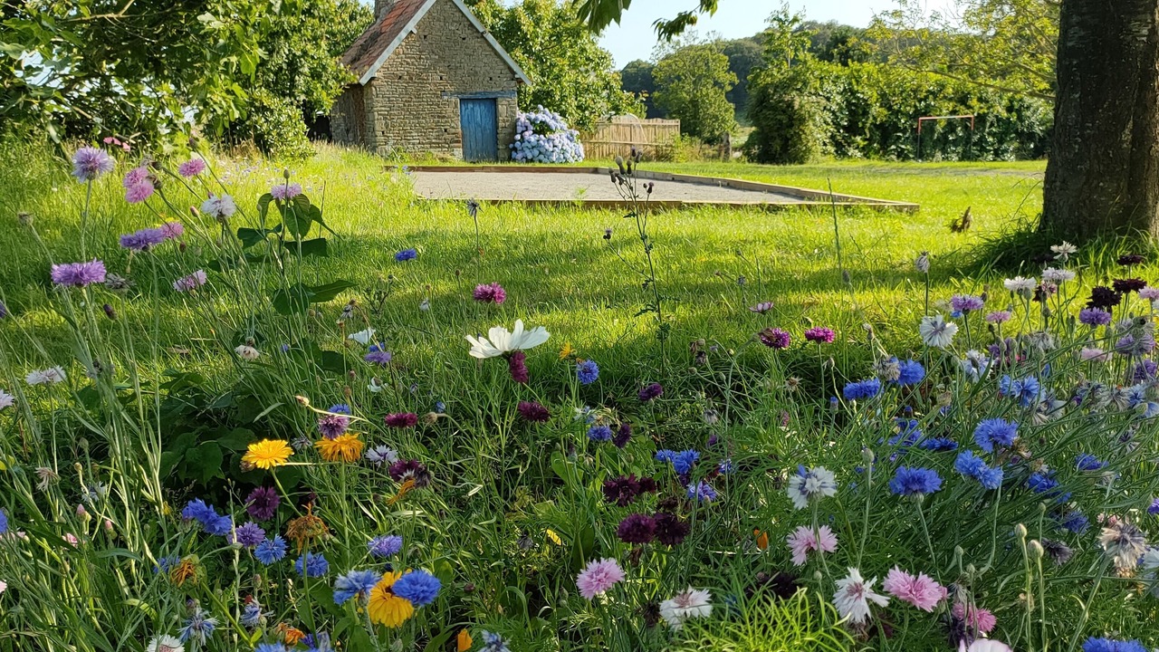 Photo of Outdoor in Isigny-le-Buat