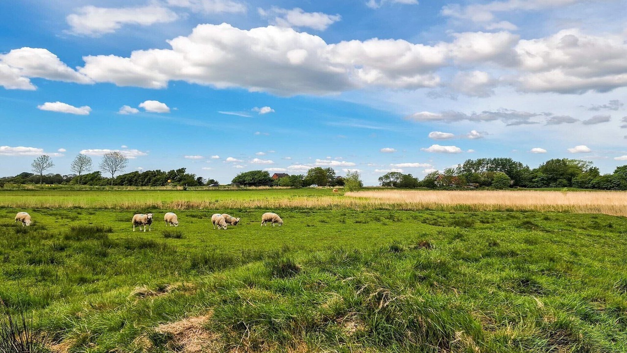 Photo of Outdoor in Tonder