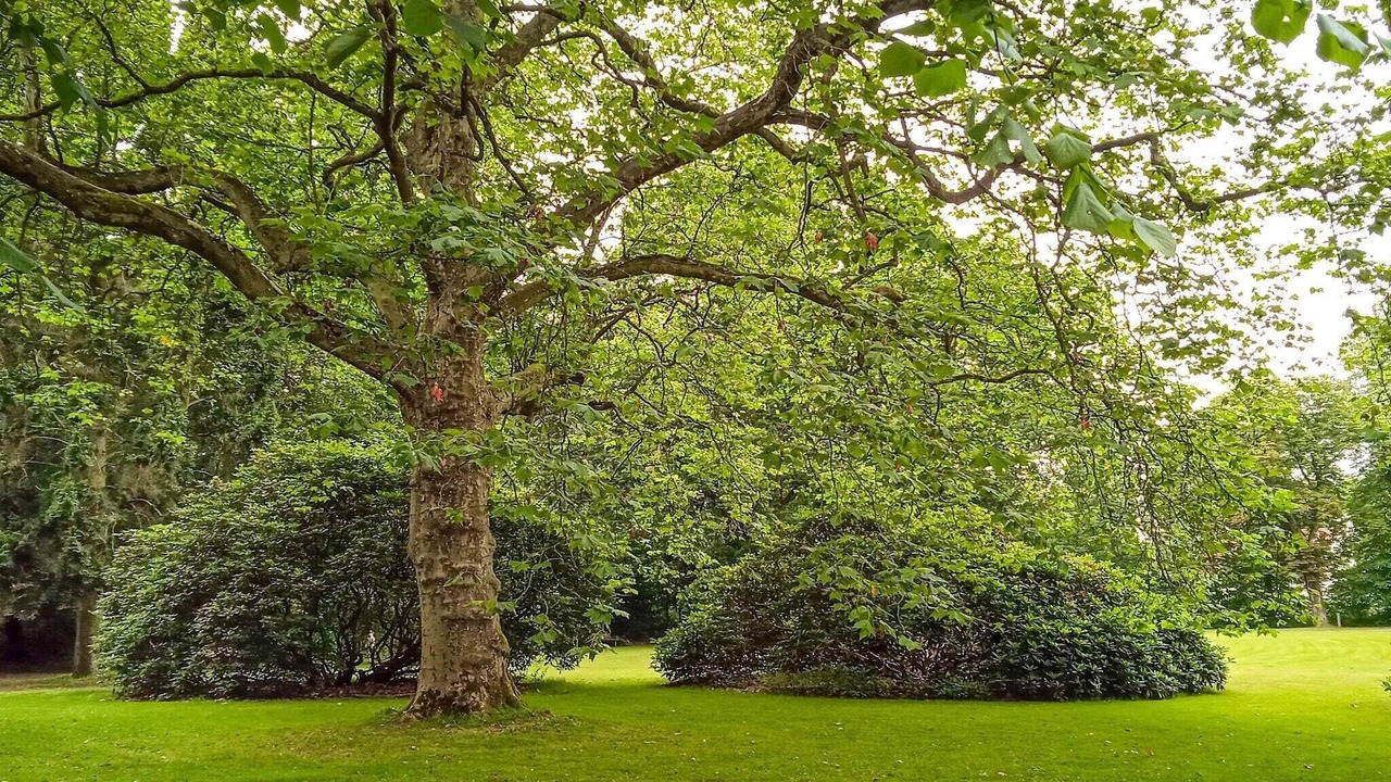 Photo of Outdoor in Tonder