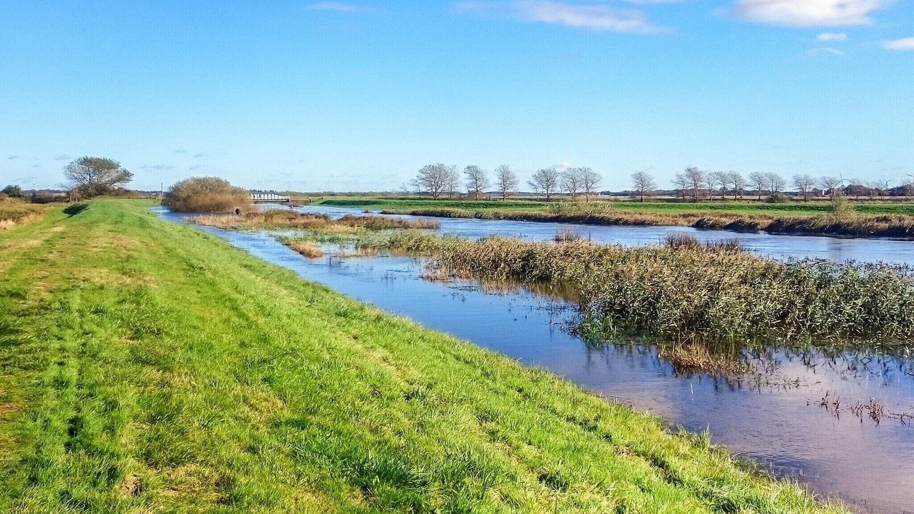 Photo of Others in Tonder