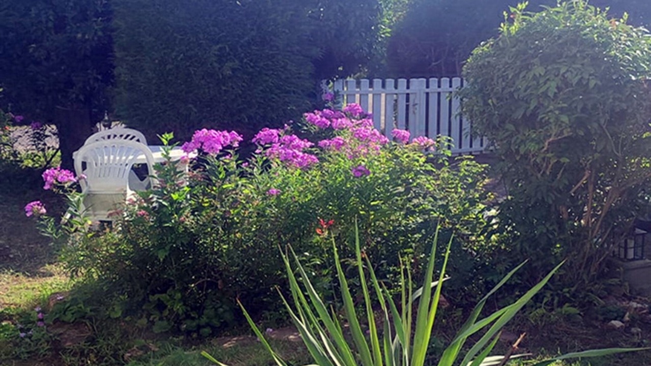 Photo of Outdoor in Citers