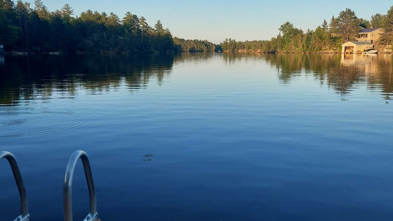 Photo of Others in West Arm