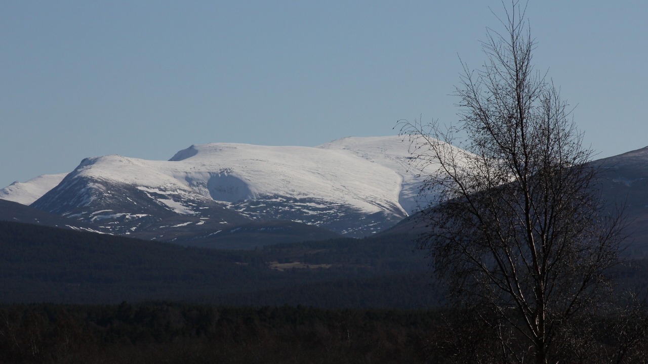 Photo of Others in Grantown-on-Spey