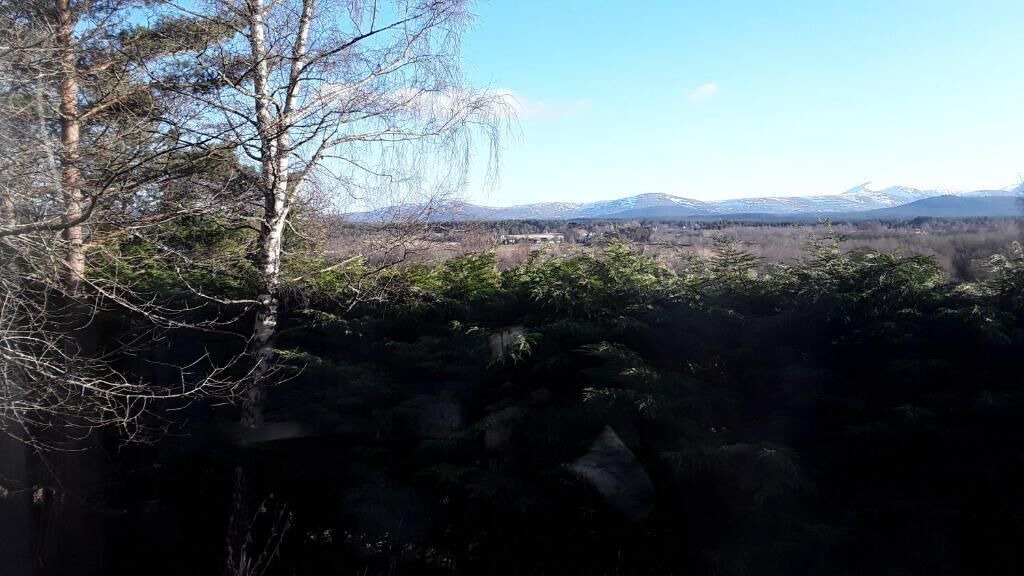 Photo of Others in Grantown-on-Spey