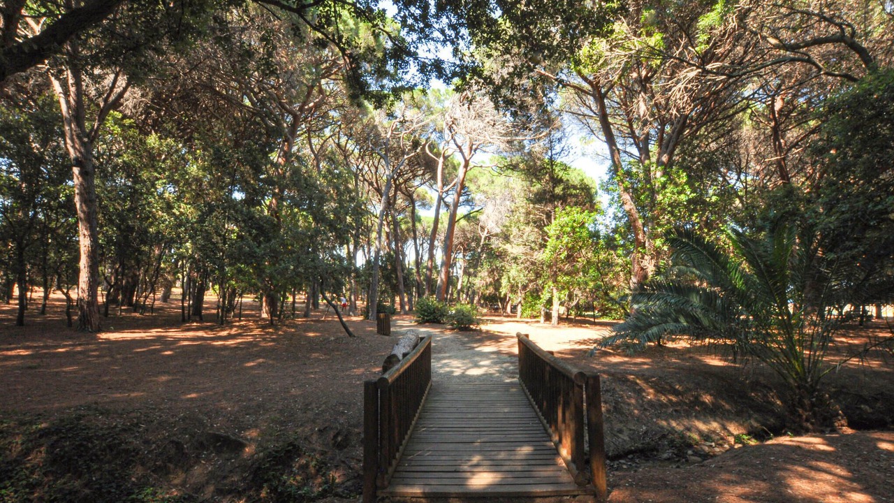 Photo of Others in Sainte-Maxime