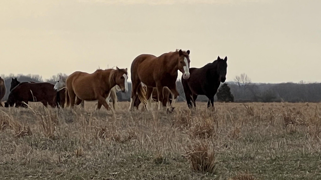 Photo of Others in Vinita