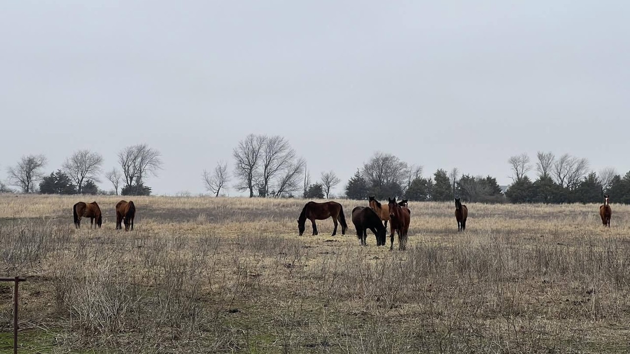 Photo of Others in Vinita