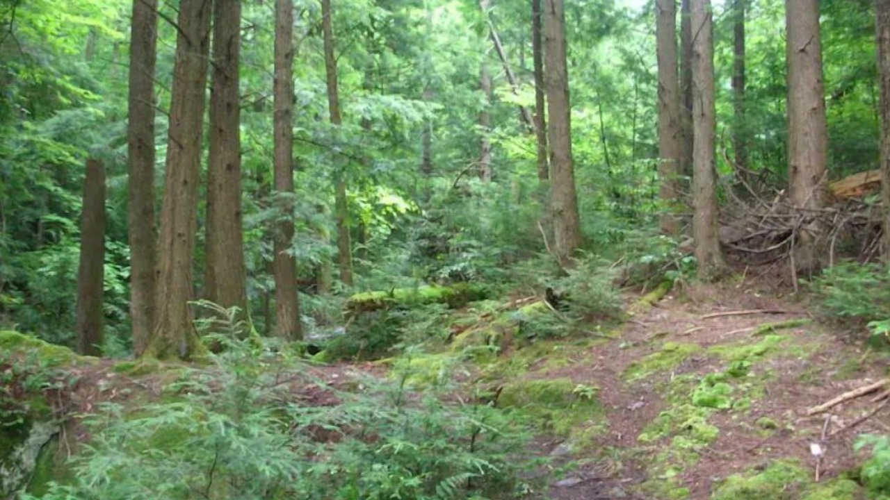 Photo of Others in Underhill