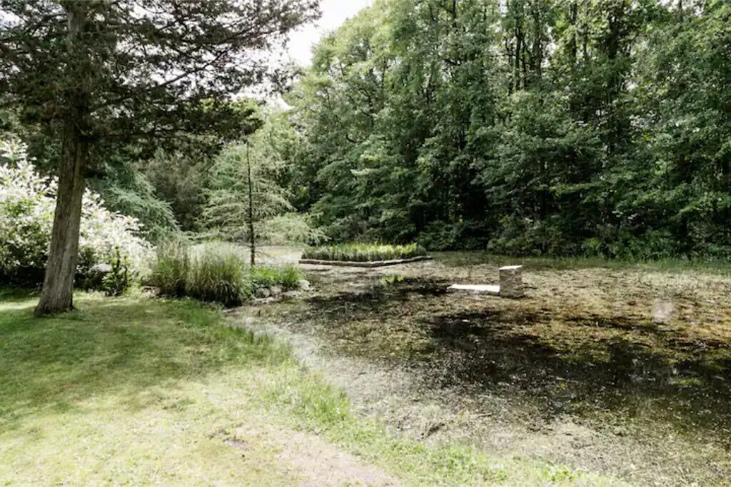 Photo of Outdoor in Guilford