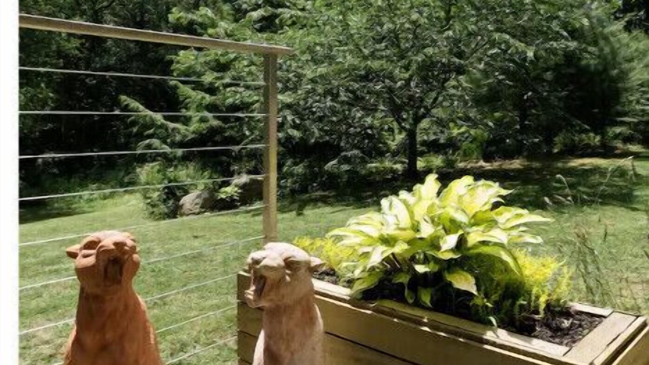 Photo of Outdoor in Guilford