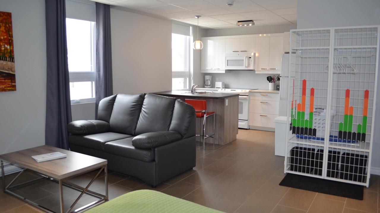 Photo of Others in Rouyn-Noranda