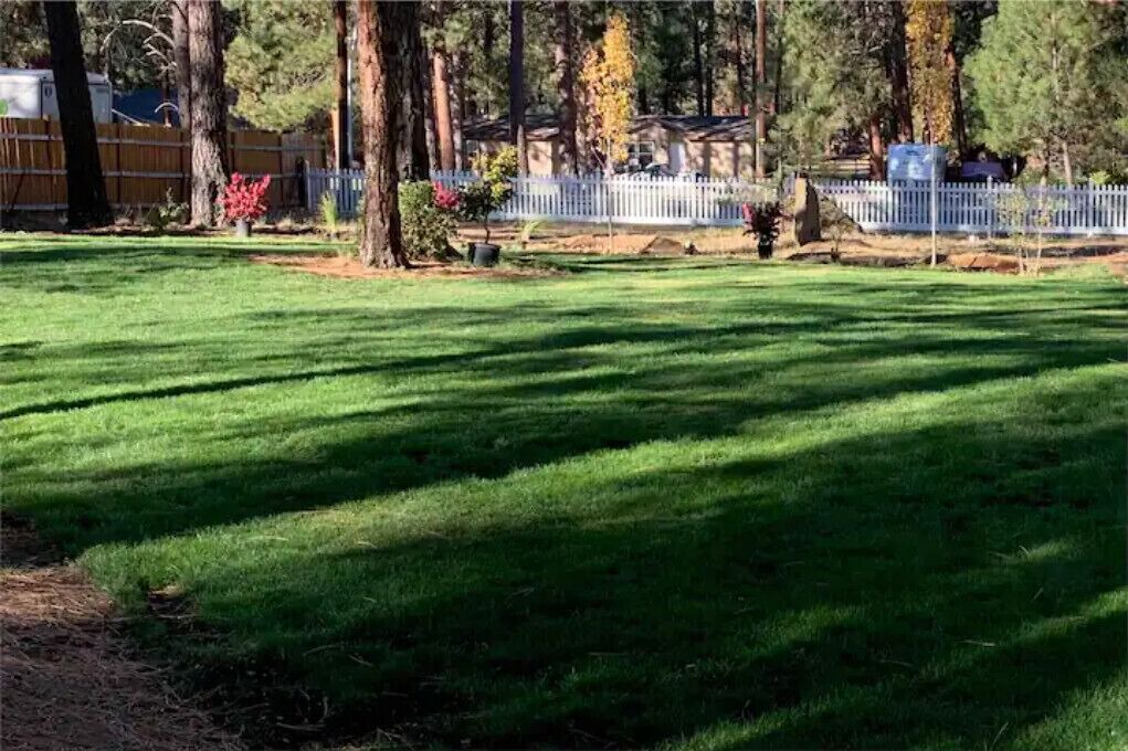 Photo of Outdoor in Deschutes River Woods