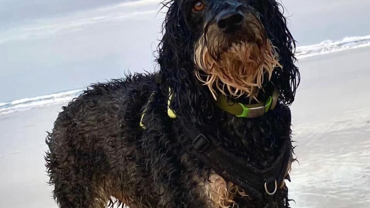 Photo of Others in Saint Columb Major