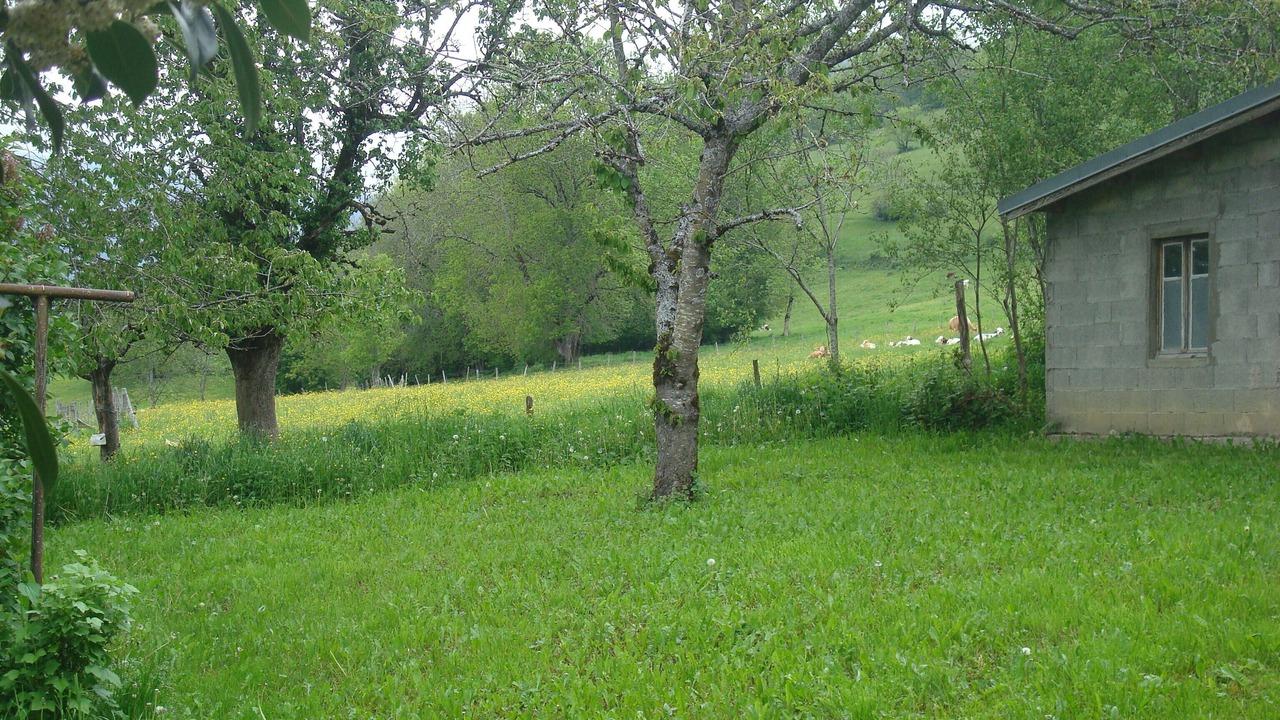 Photo of Outdoor in Puygros