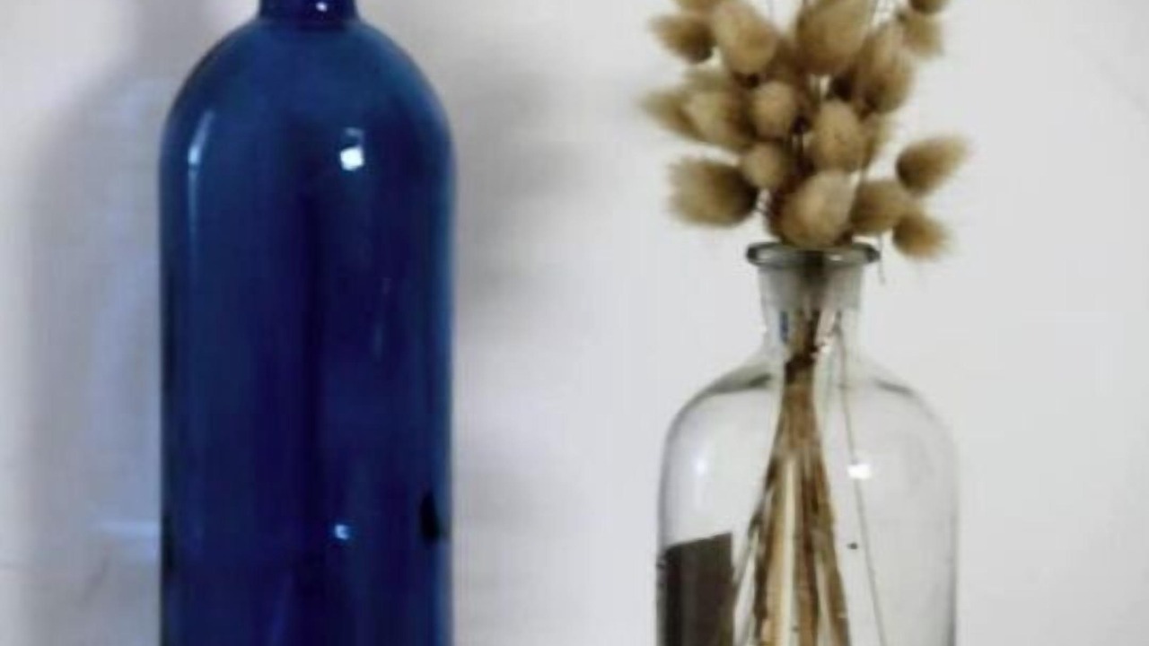 Photo of Others in Clis