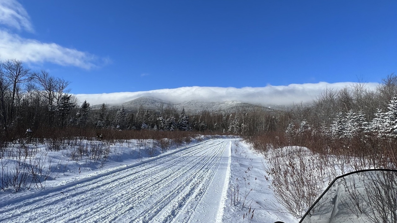 Photo of Others in Phillips