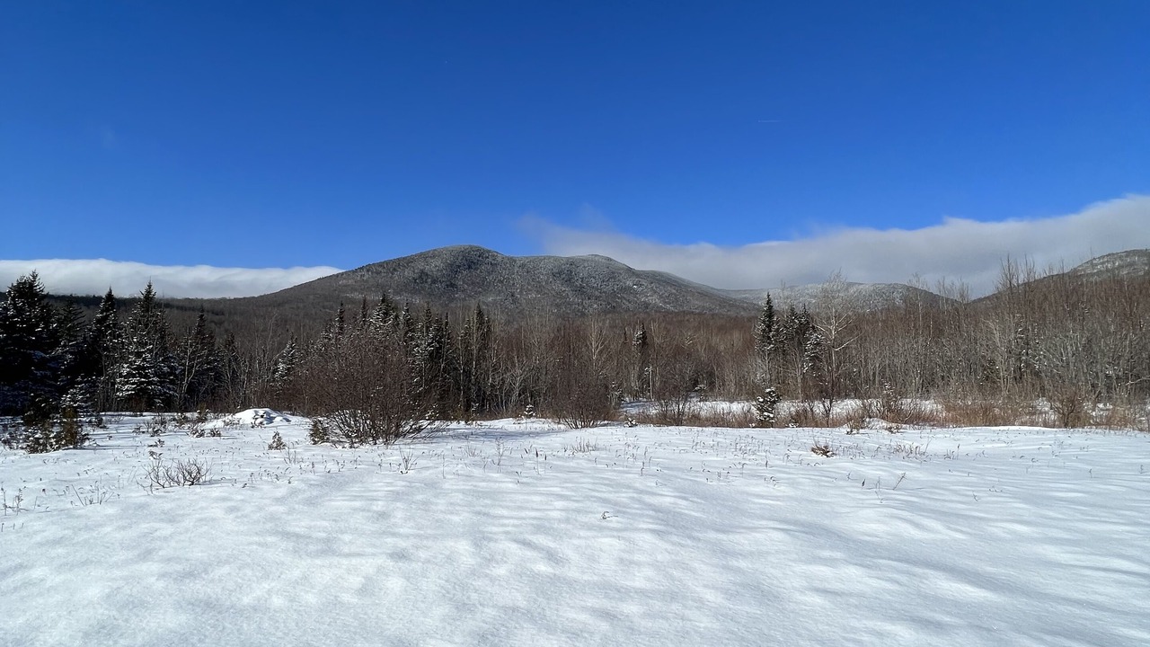 Photo of Others in Phillips