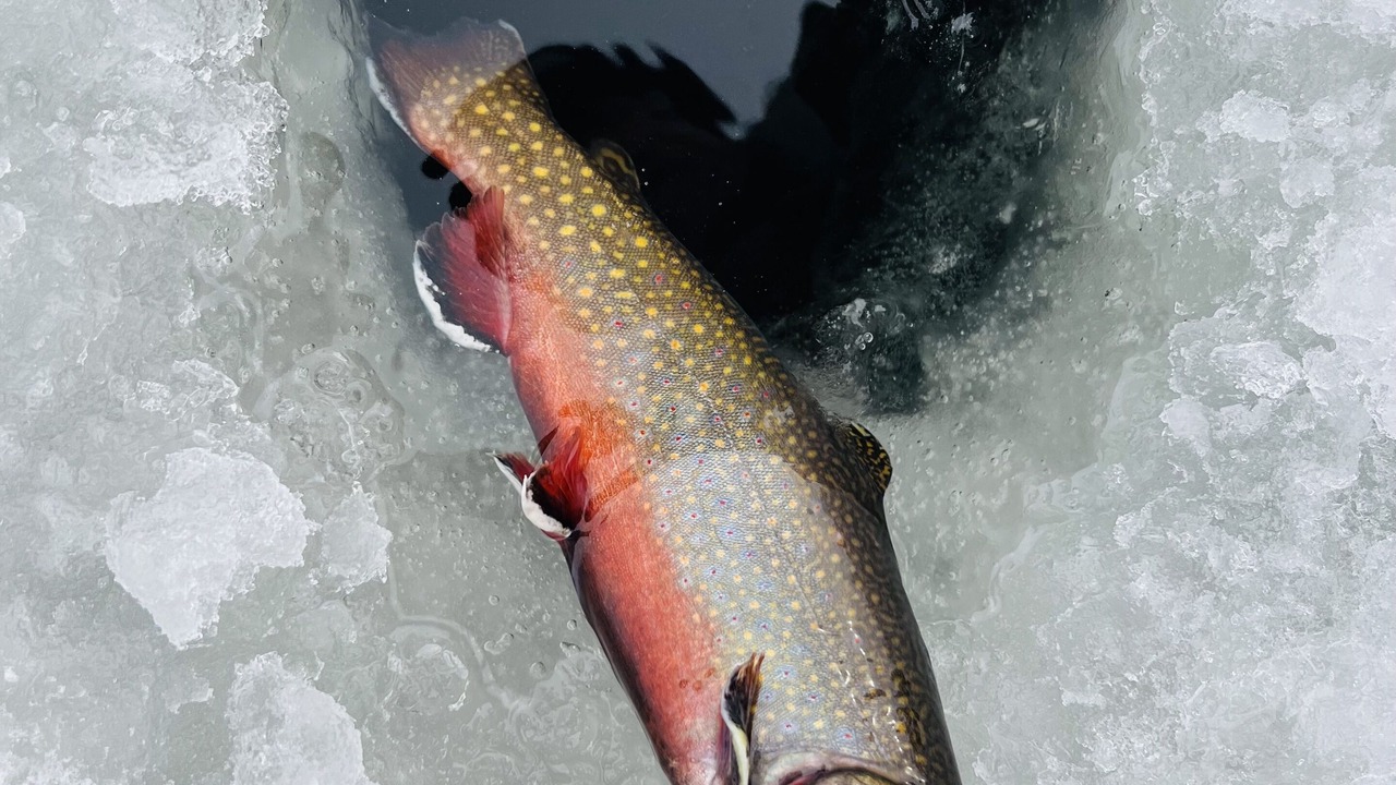 Photo of Others in Phillips