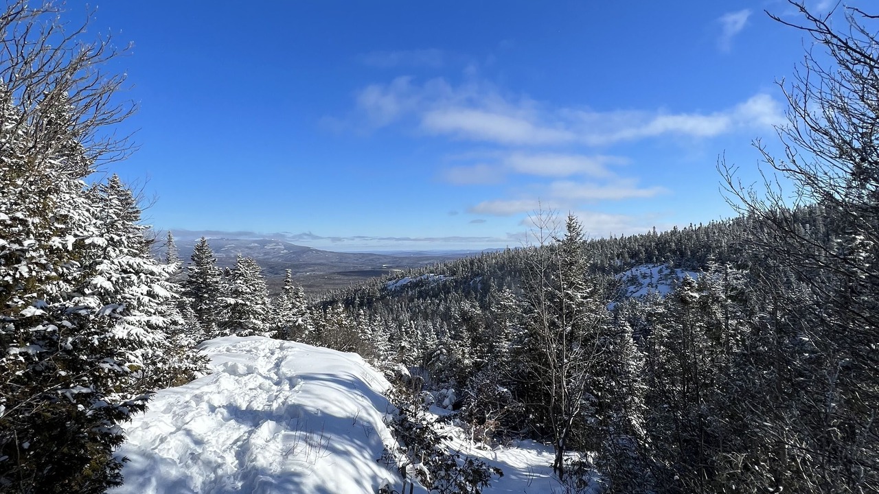 Photo of Others in Phillips