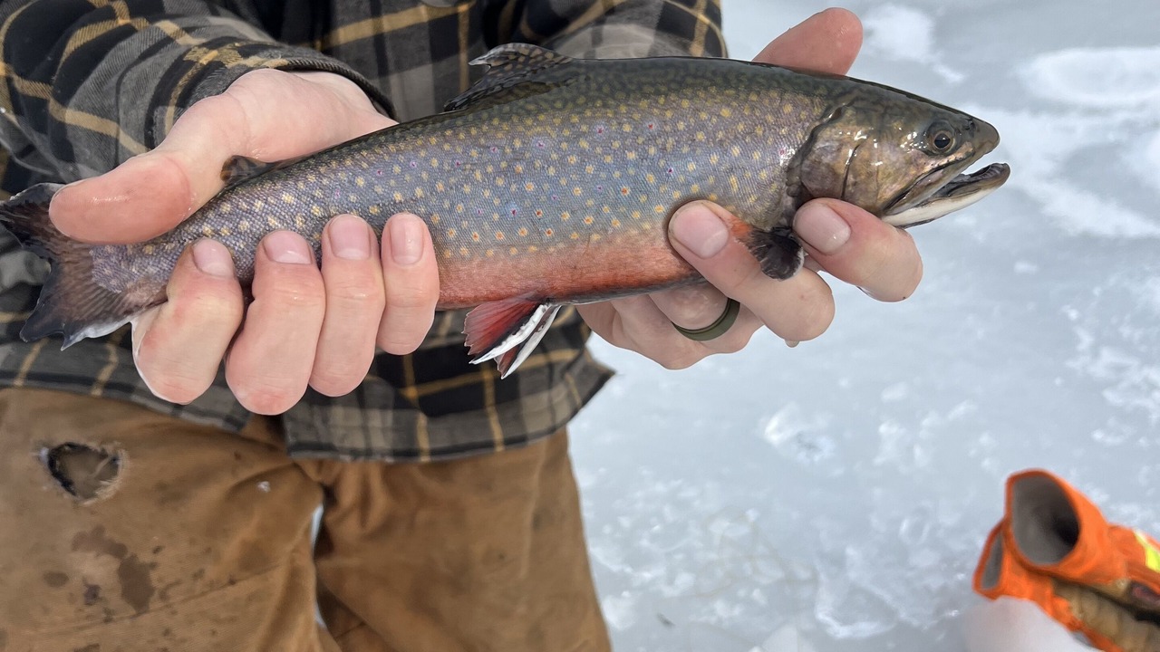 Photo of Others in Phillips