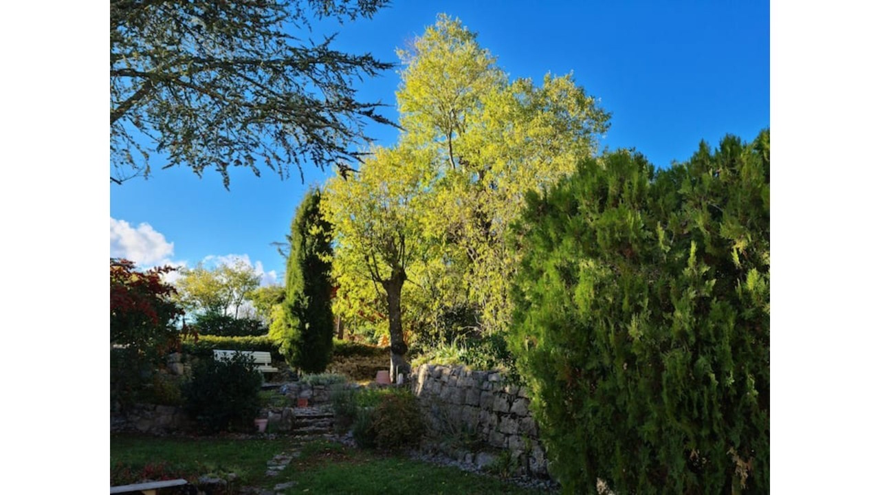 Photo of Outdoor in Chandolas