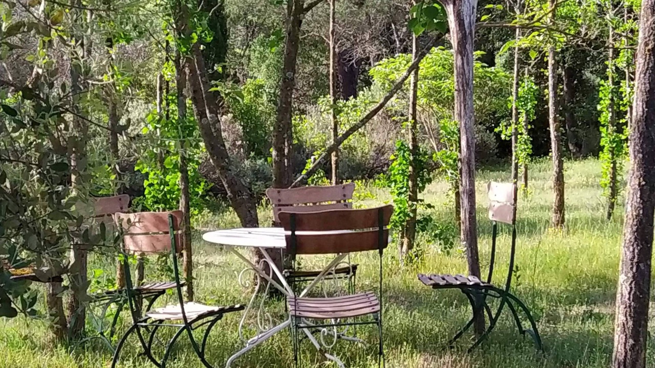 Photo of Outdoor in Carsan