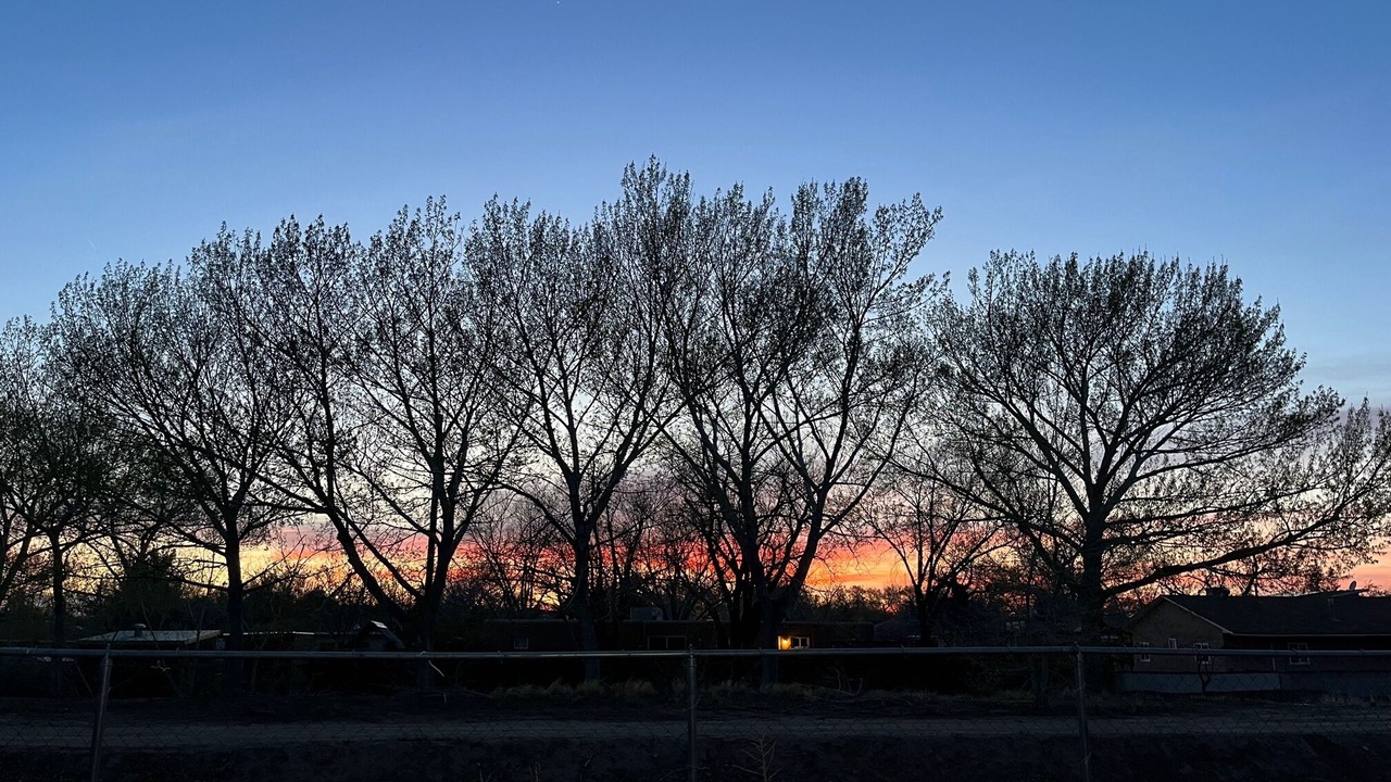 Photo of Outdoor in Los Griegos