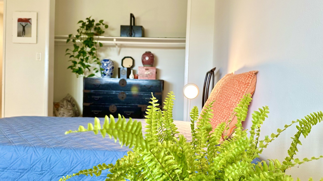 Photo of Bedroom in Pico