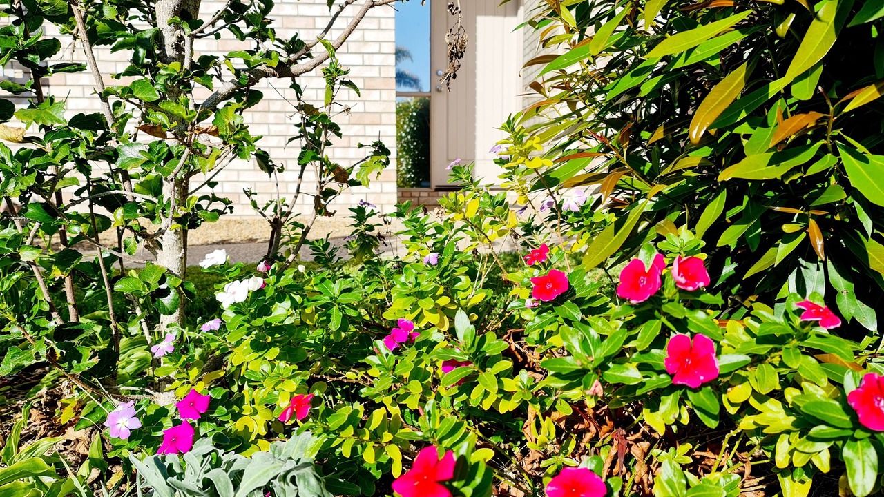 Photo of Outdoor in Redland Bay