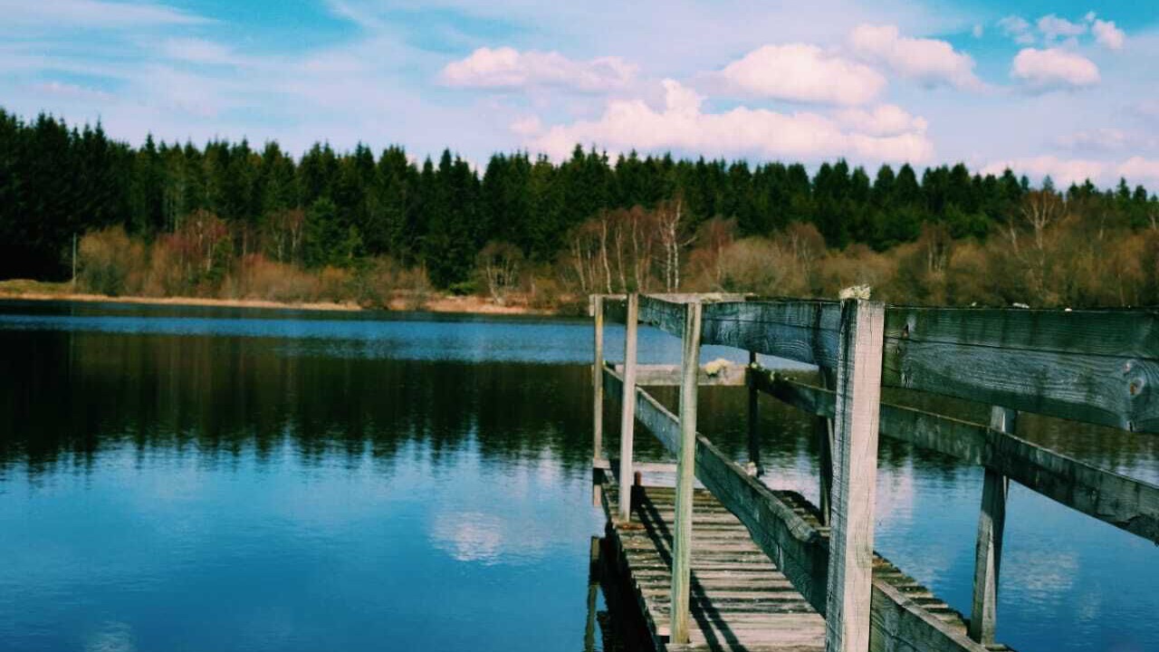 Photo of Others in Tortebesse