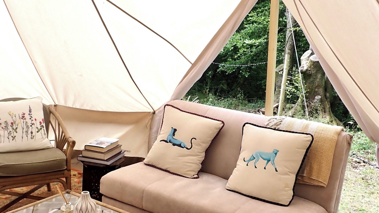 Photo of Livingroom in Christchurch