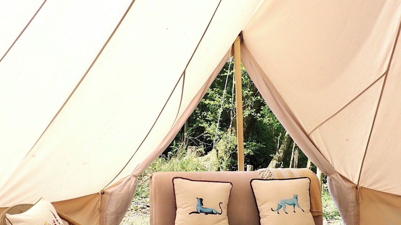 Photo of Livingroom in Christchurch