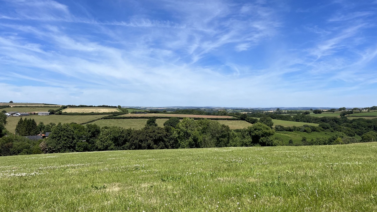 Photo of Outdoor in Christchurch