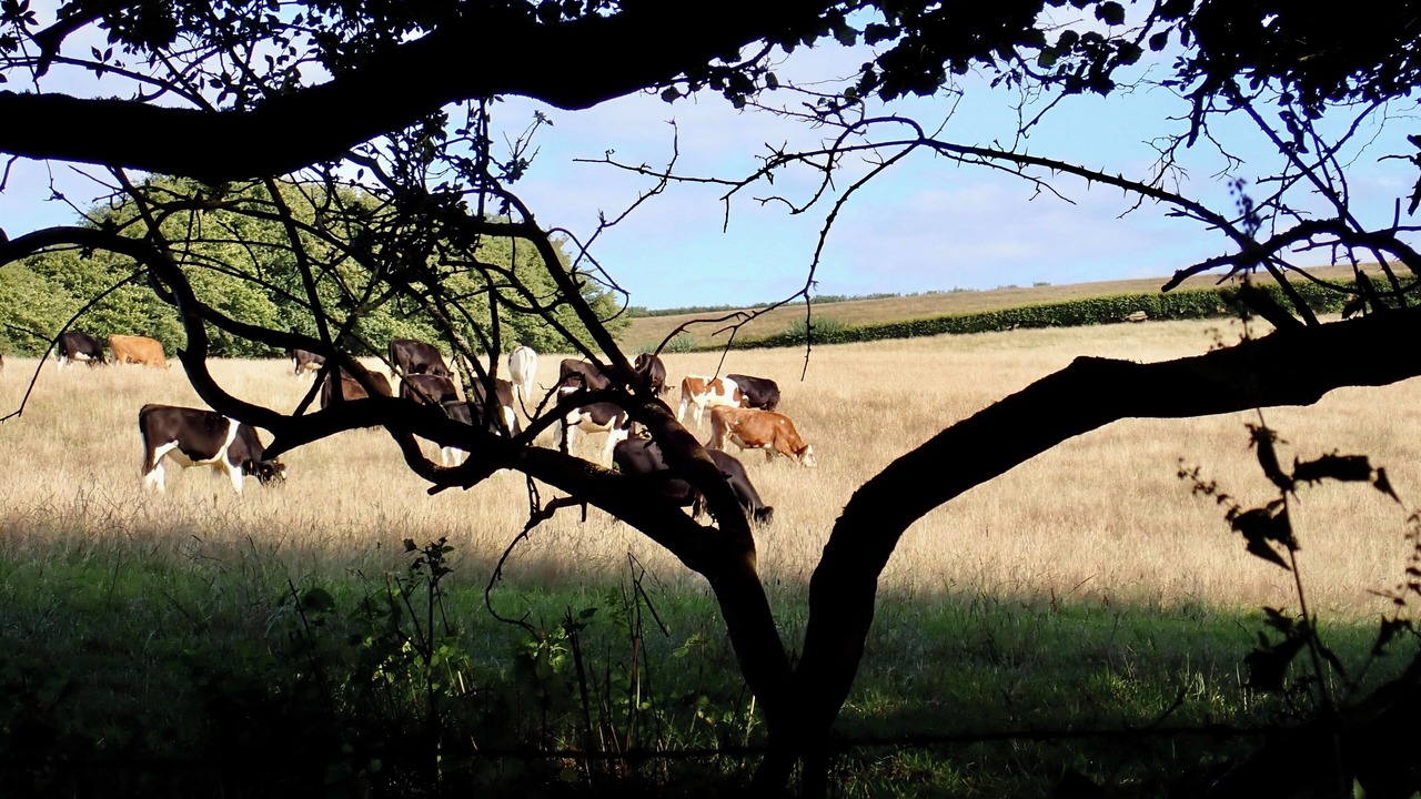 Photo of Others in Christchurch