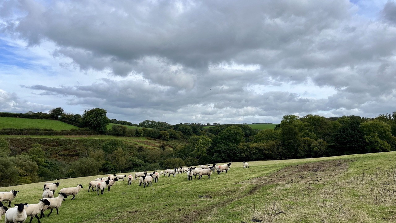 Photo of Outdoor in Christchurch