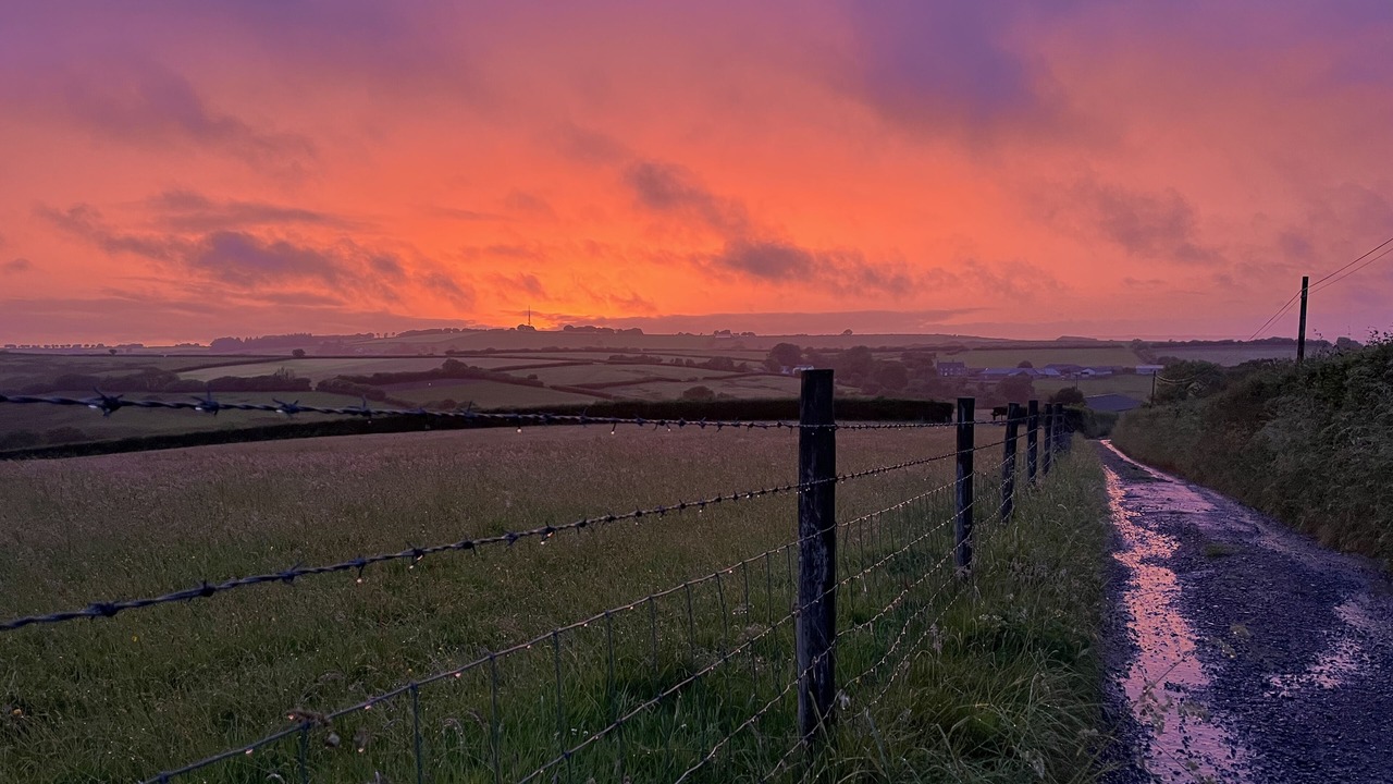 Photo of Outdoor in Christchurch