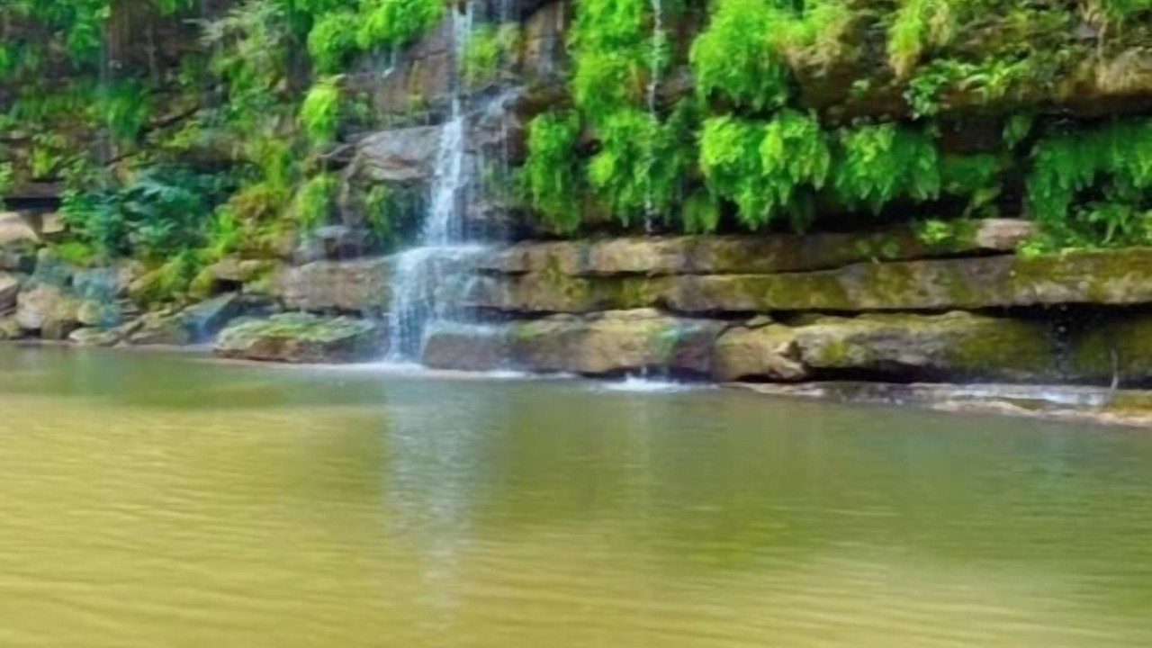 Photo of Others in Rock Island