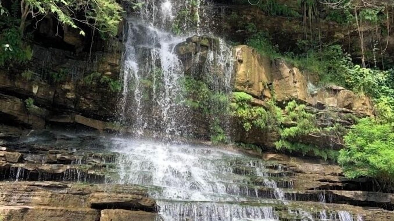 Photo of Outdoor in Rock Island