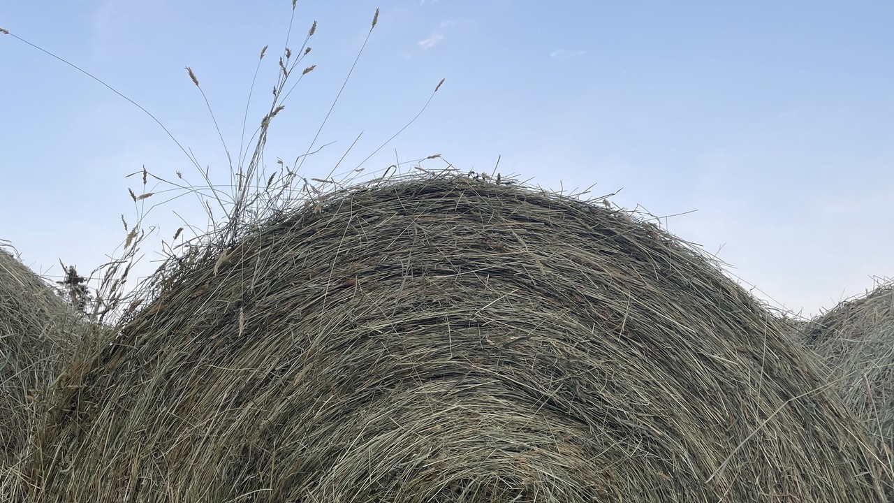 Photo of Others in Cherry Valley