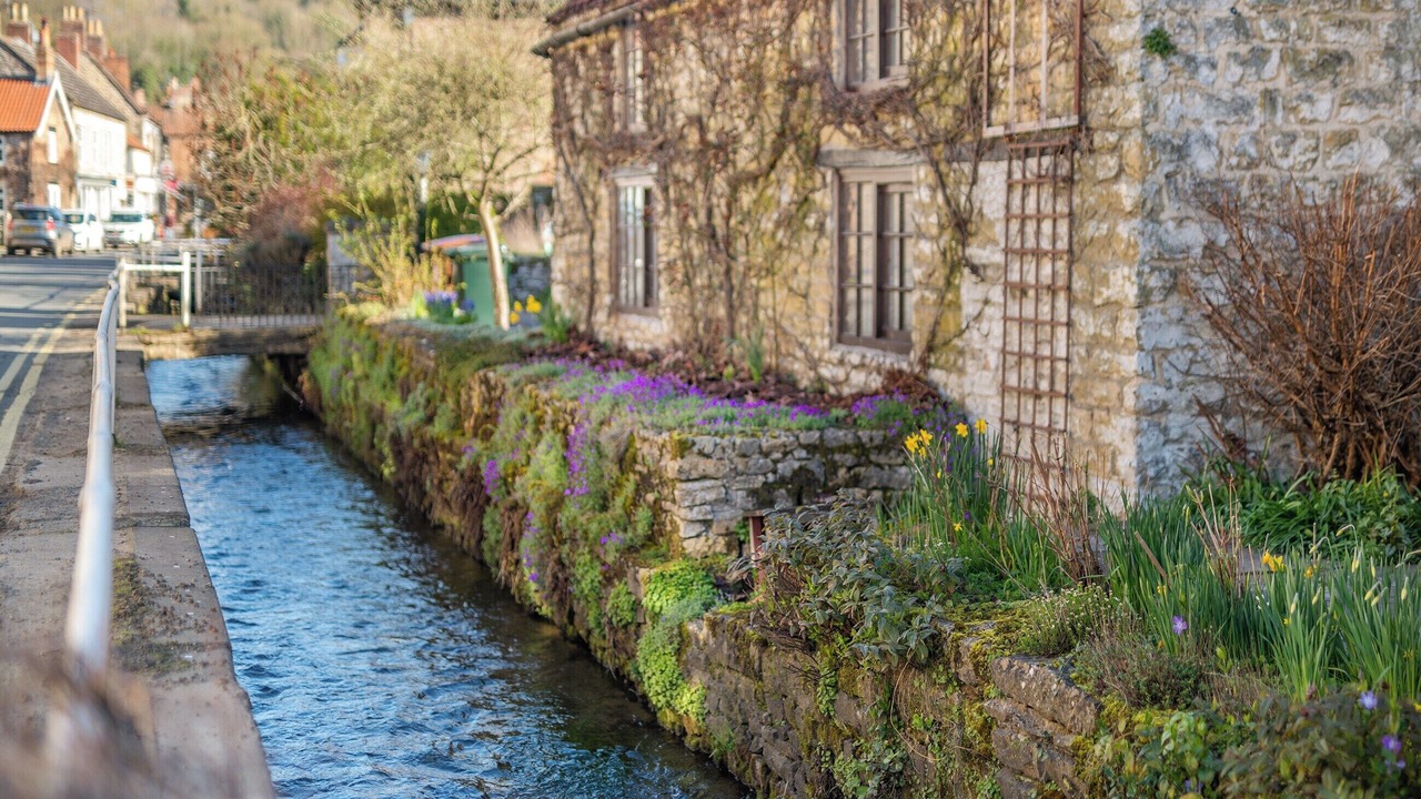 Photo of Outdoor in Thornton Dale