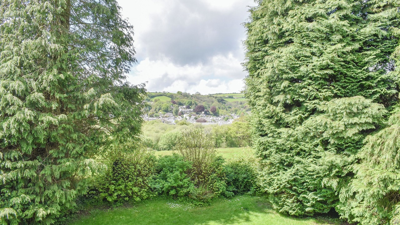 Photo of Others in Lostwithiel