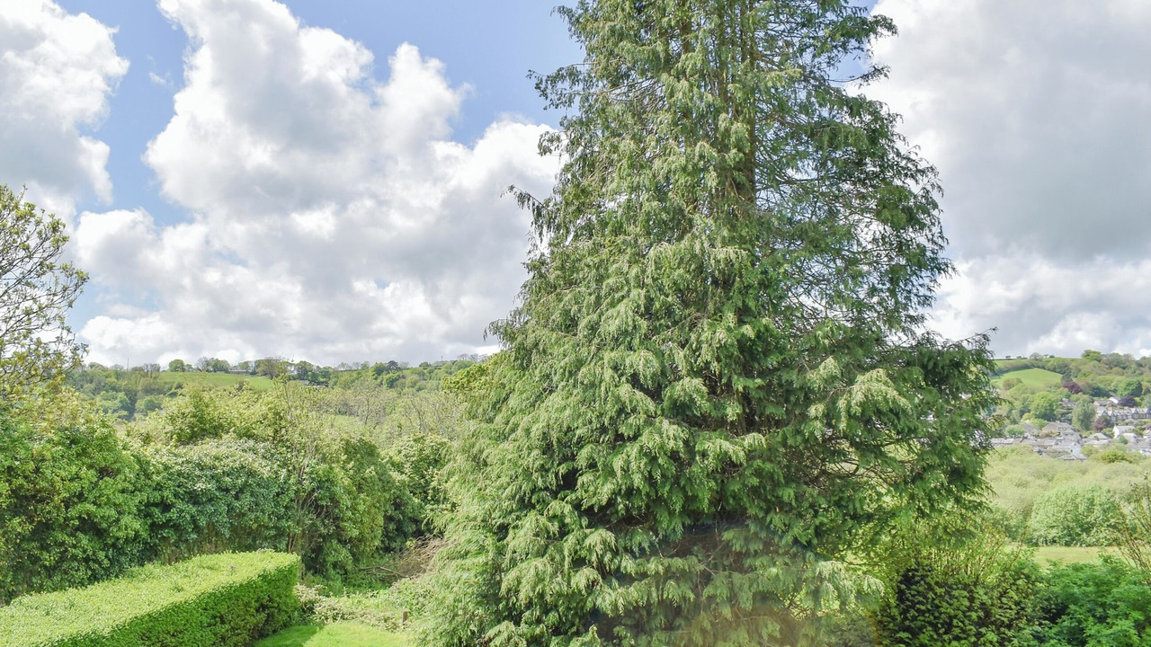 Photo of Others in Lostwithiel