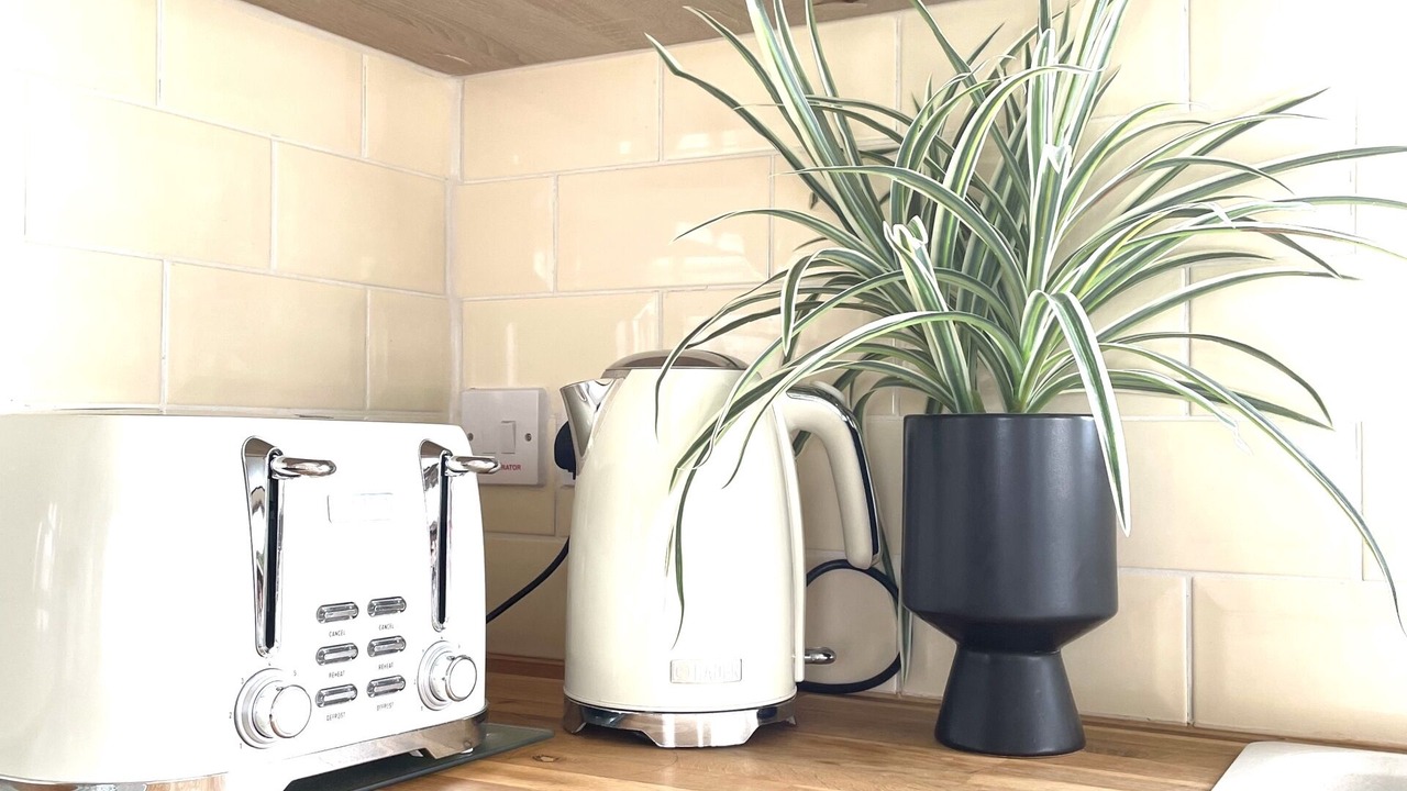 Photo of Others in Cayton Bay