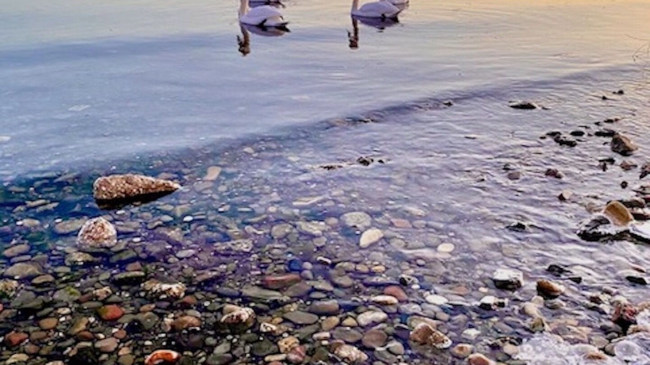 Photo of Others in The Beaches