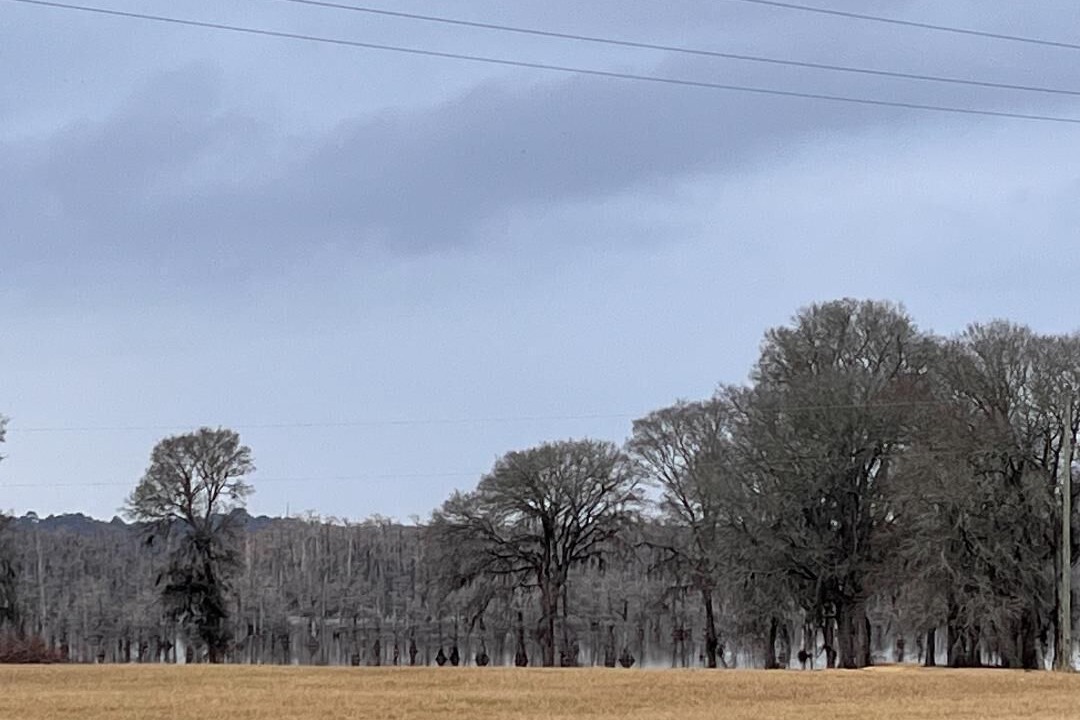 Photo of Outdoor in Saint Maurice