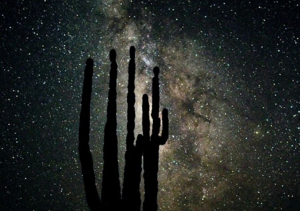 Photo of Others in San Felipe