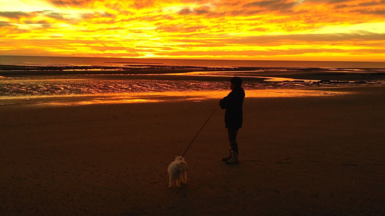 Photo of Others in San Felipe